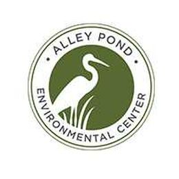 Spring Into Fitness with Tai Chi