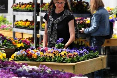 12 Tips for Saving Money at the Garden Center