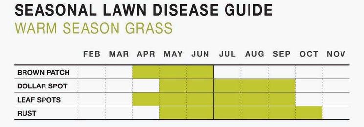 Keep your lawn green and healthy all season long