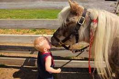 Children and the Benefits of Horseback Riding