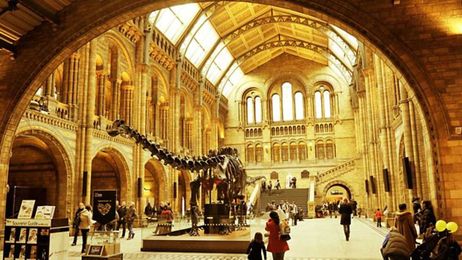 Natural History Heroes: Alfred Russel Wallace, Natural Histories