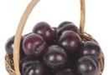 Growing Apple Trees From Seed.