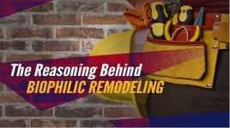 The Reasoning Behind Biophilic Remodeling