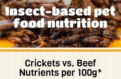 Infographic: Insect-based pet food nutrition