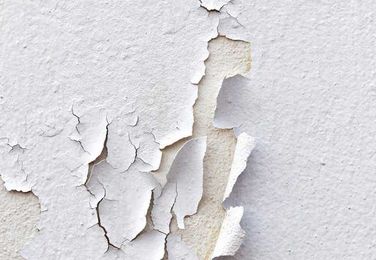 Peeling, Cracking, Flaking Paint