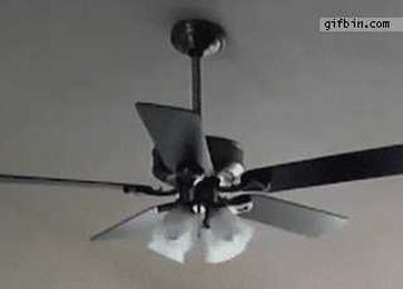 Lamp ceiling fan fail