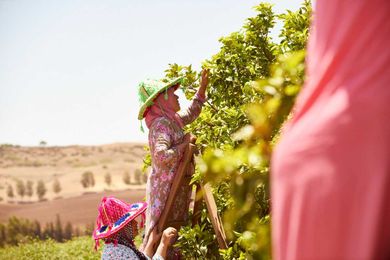 Sana Jardin Tests The Business Impact Of Being Driven By A Social Mission