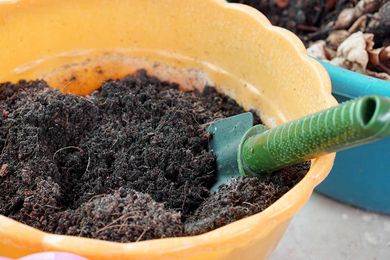 Potting Soil Mix Explained: Ingredients and Labels