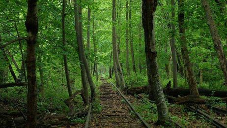 Don't leave Queens behind