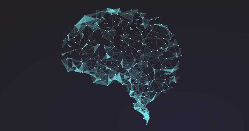 Brain-Computer Interfaces Show That Neural Networks Learn by Recycling
