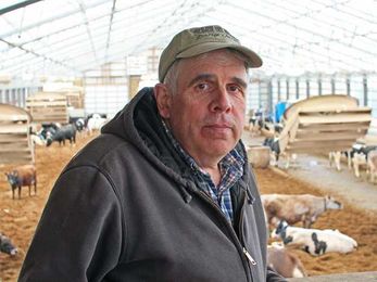 When robots milk cows, farm families taste freedom