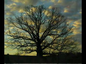 Sticks That Made Thunder.