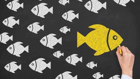 4 Steps to Change Anything in Your Life