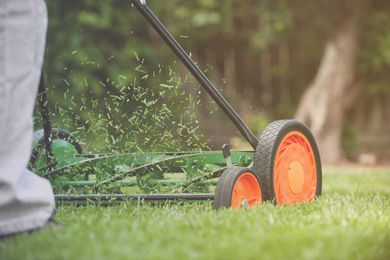 13 Things Your Landscaper Won't Tell You 