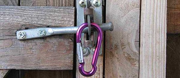 How a Carabiner Can Save Your Dog’s Life