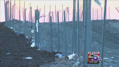 Swap your plastic bags for a reusable one