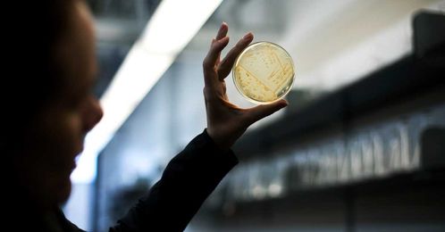 This Woman Is Exploring Deep Caves to Find Ancient Antibiotic Resistance  