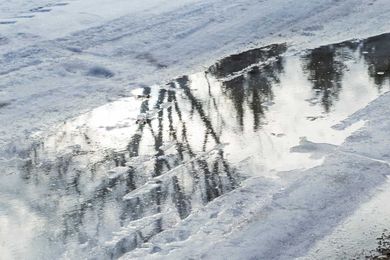 Reasons Why Your Roof May Be Holding Water