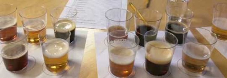 Improving Your Beer: Part 1