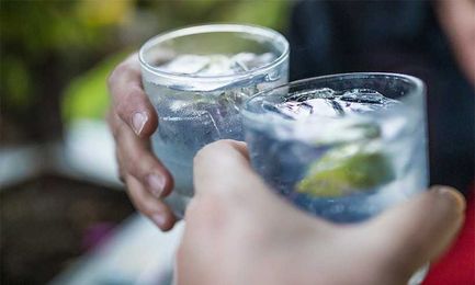 Hay fever sufferers could relieve their symptoms with gin and tonic
