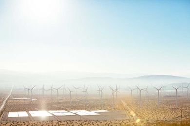 PALM SPRINGS: Go, Be You