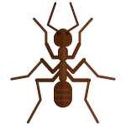 What's Bugging You? How to Get Rid of Pests from A to Z