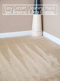 Easy Carpet Cleaning Hack {Spot Removal & Deep Cleaning}