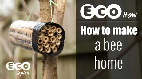 Eco How: How to make a bee home
