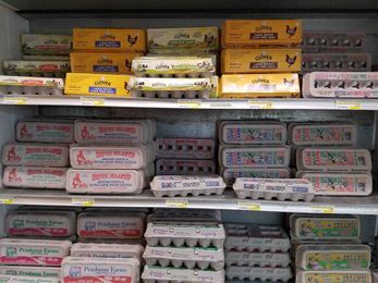 Guide: 5 Local Bay Area Egg Producers You Should Know