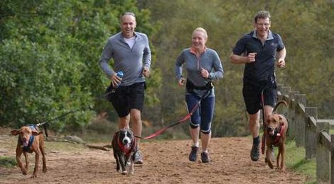 Dr. Kurt Venator of Purina talks with pet expert Steve Dale