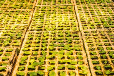 GPS Tracking for Wholesale Nurseries and Greenhouses