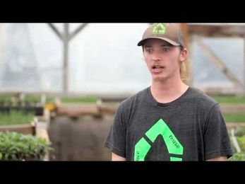 Jesse: why I'm like a seed and other stories