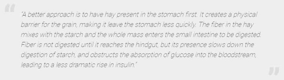 Myth: Feed Horses Hay Before Grain