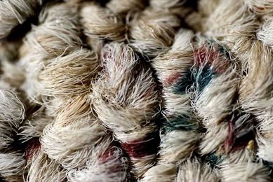 Understanding Carpet Fibers 101: Wool