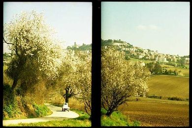 Practicing Half-Frame Photography Compositions