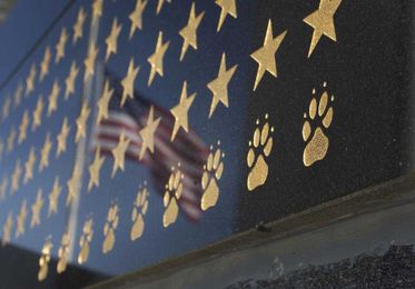 What happened to Prince, a pioneering SEAL war dog? We finally have an answer.