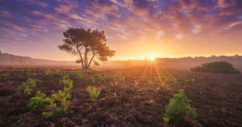 10 Tips to Take Your Landscape Photos to the Next Level