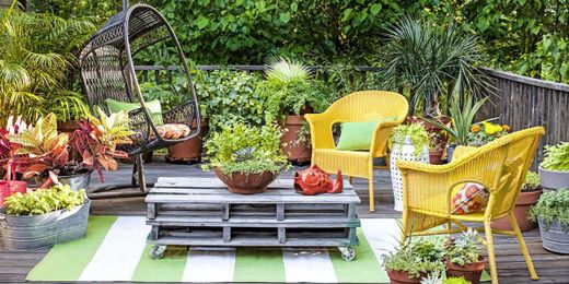 16 Easy Container Gardening Ideas for Your Potted Plants