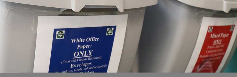 7 Easy Switches to Go Green and Save Green