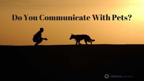 Do You Communicate With Pets?