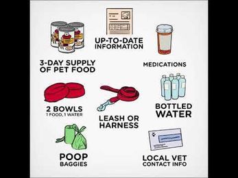 Hill’s How-Tos: Prepare a Pet Emergency Kit