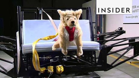 How Pet Products are Tested for Safety