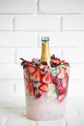12 DIY Ice Buckets Of Ice And Not Only