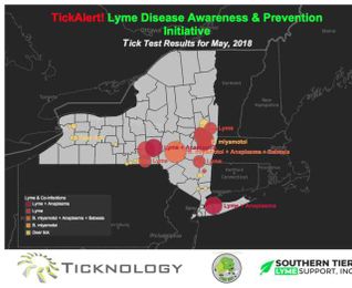 Universal Tick Testing Services