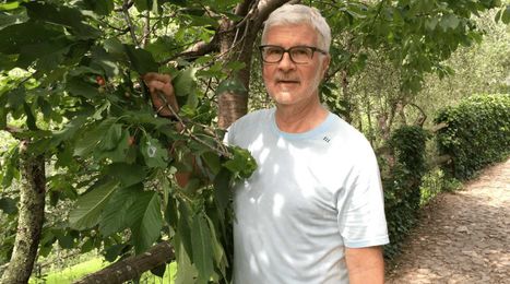 The Mediterranean “Longevity” Diet: Why It Works [video]