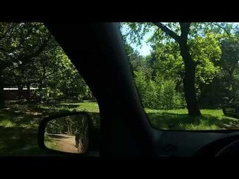 WATCH: Idiot Family Doesn't Understand The Concept Of A Safari Park