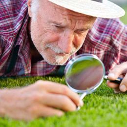 Maintaining a Chemical-Free Lawn