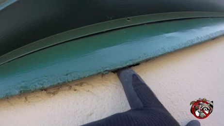 Carl's Trained Eye Finding Rat and Mouse Entry Points