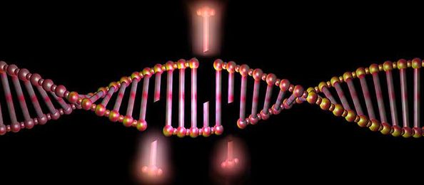Gene-editing technology worth keeping an eye on