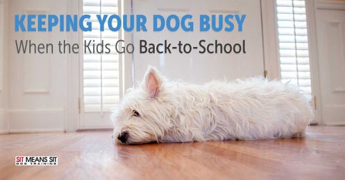 Keeping Your Dog Busy When the Kids Go Back to School